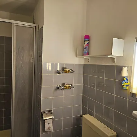 Apartment Geyersberg *